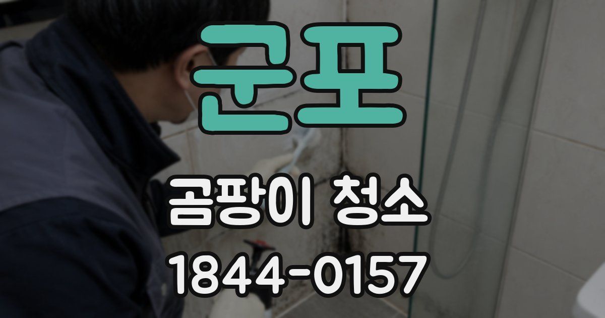 군포 곰팡이 청소