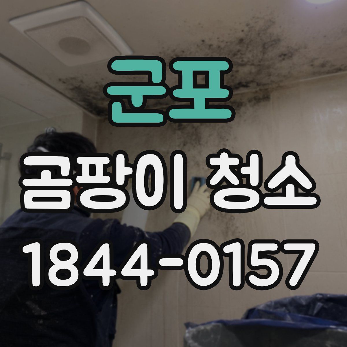 군포 곰팡이 청소