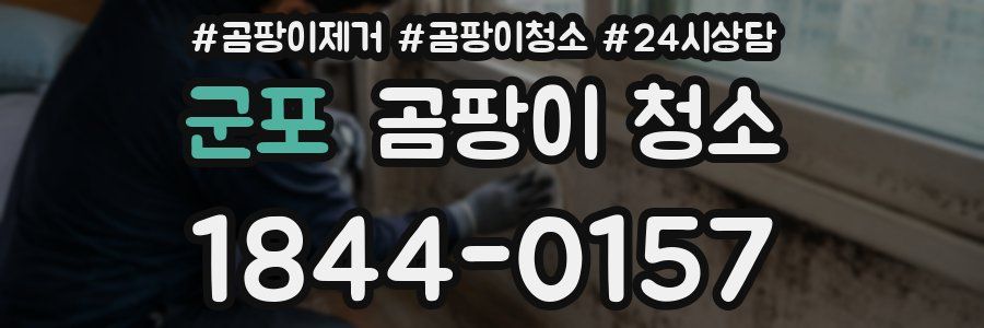 군포 곰팡이 청소