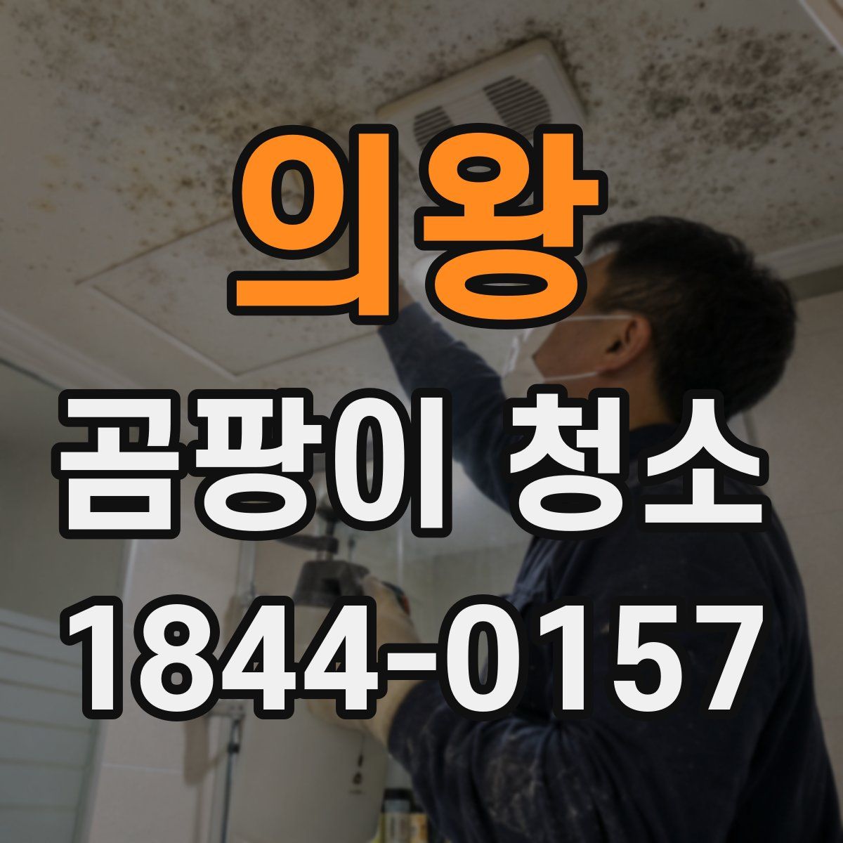 의왕 곰팡이 청소