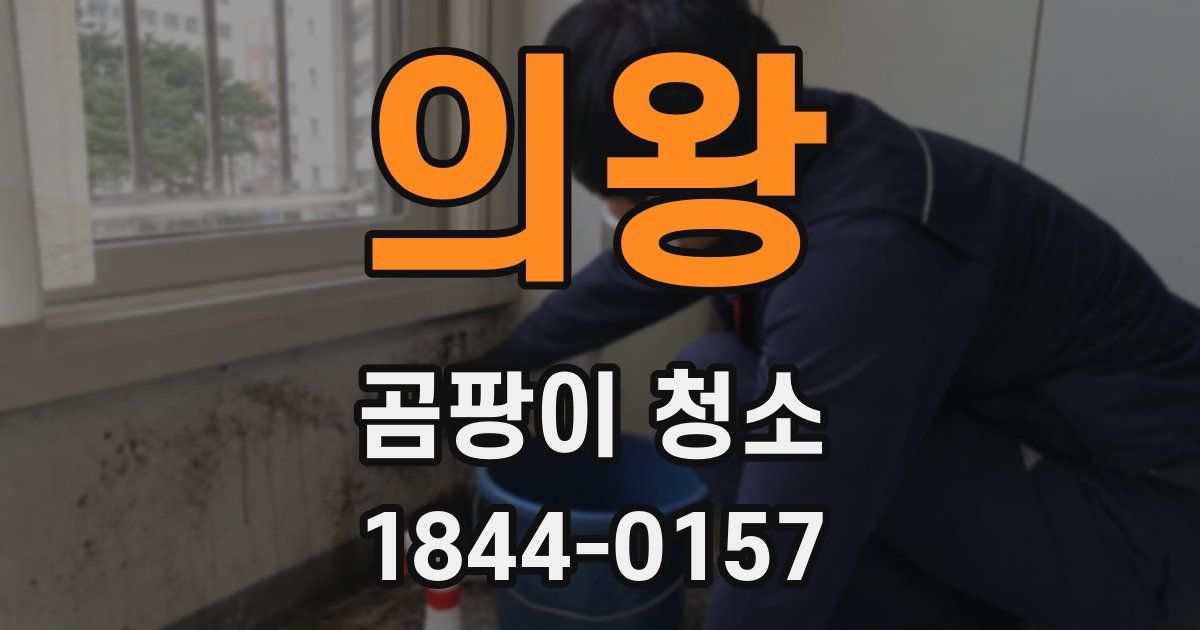 의왕 곰팡이 청소