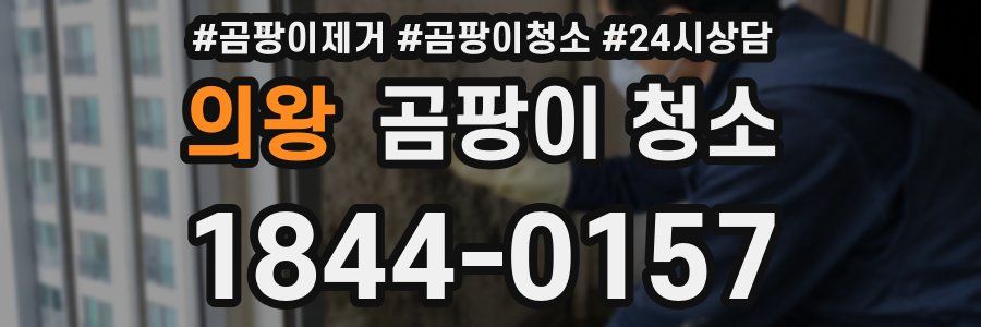 의왕 곰팡이 청소