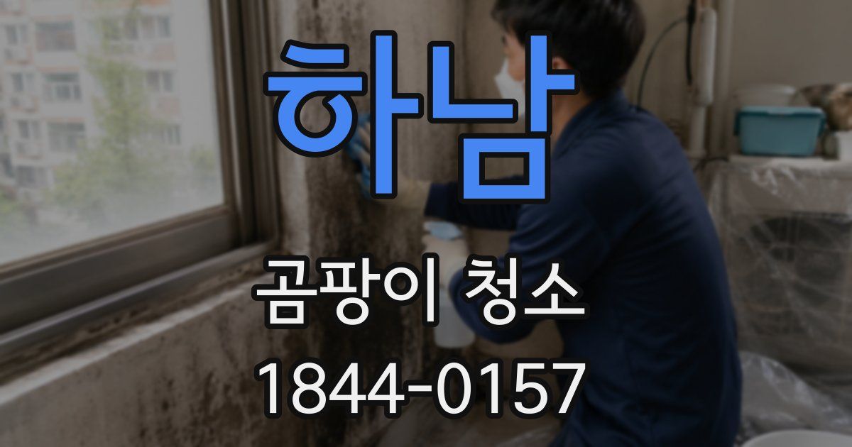 하남 곰팡이 청소