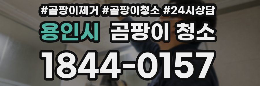 용인시 곰팡이 청소