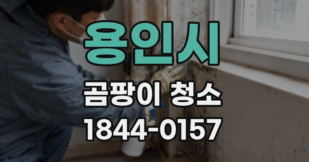 용인시 곰팡이 청소