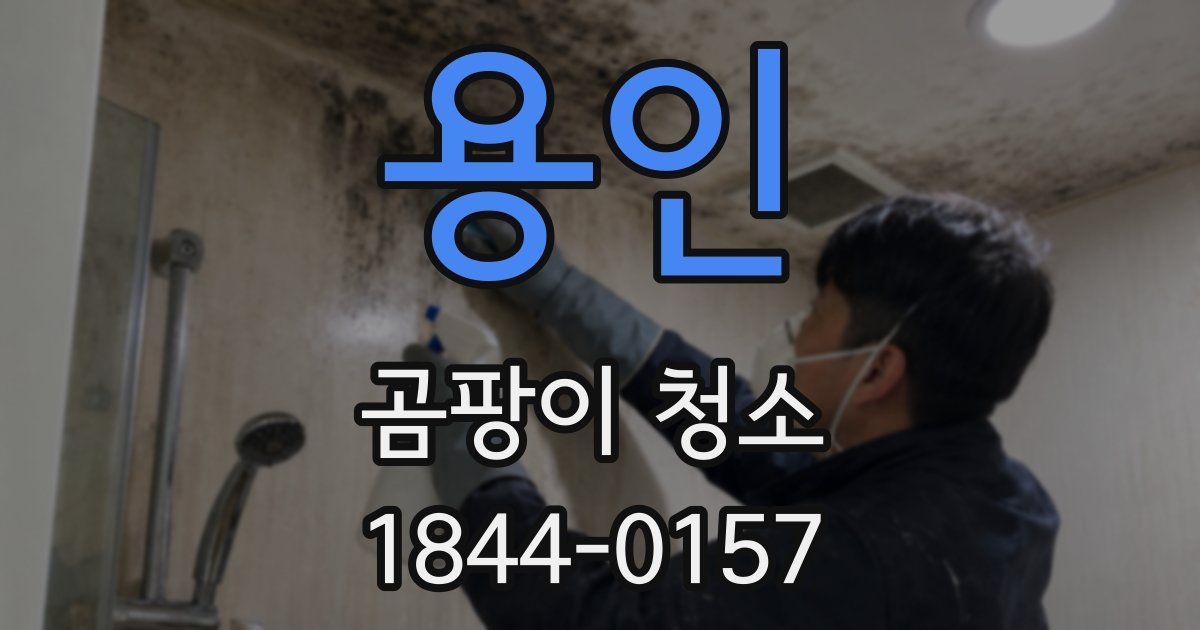용인 곰팡이 청소