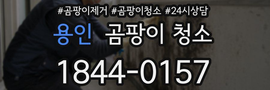 용인 곰팡이 청소
