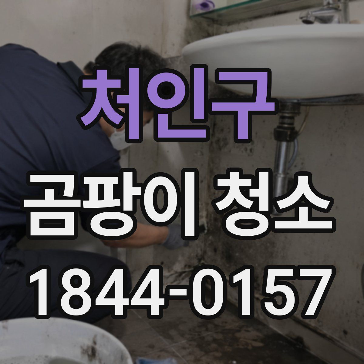 처인구 곰팡이 청소