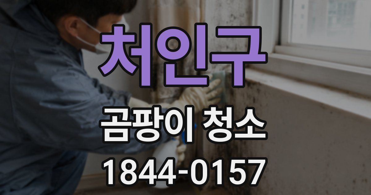 처인구 곰팡이 청소
