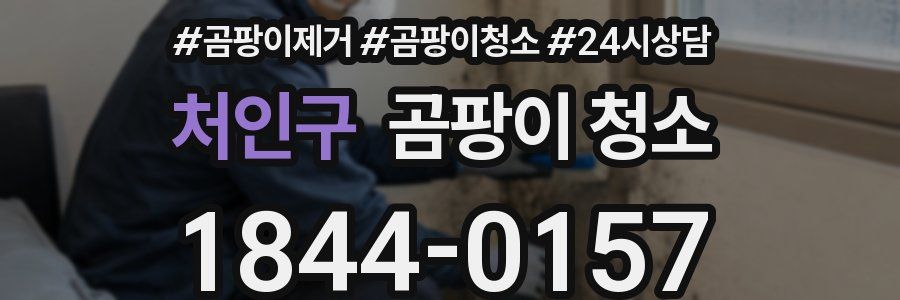 처인구 곰팡이 청소