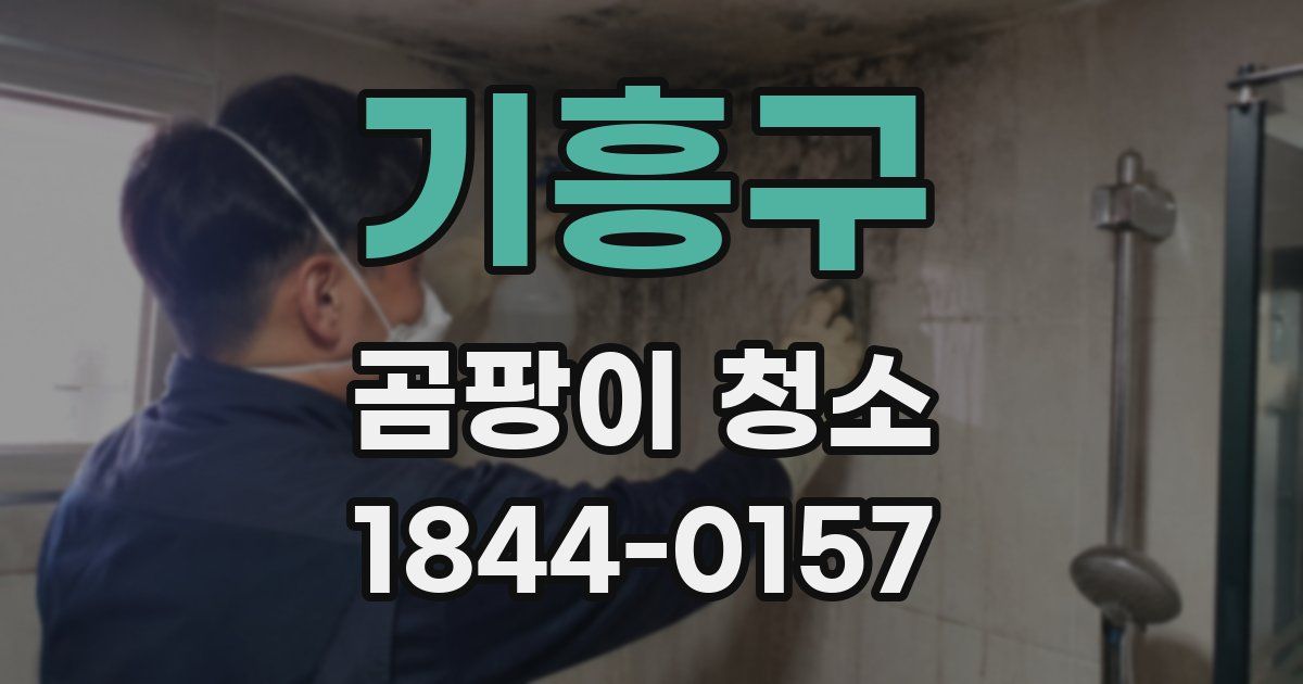 기흥구 곰팡이 청소