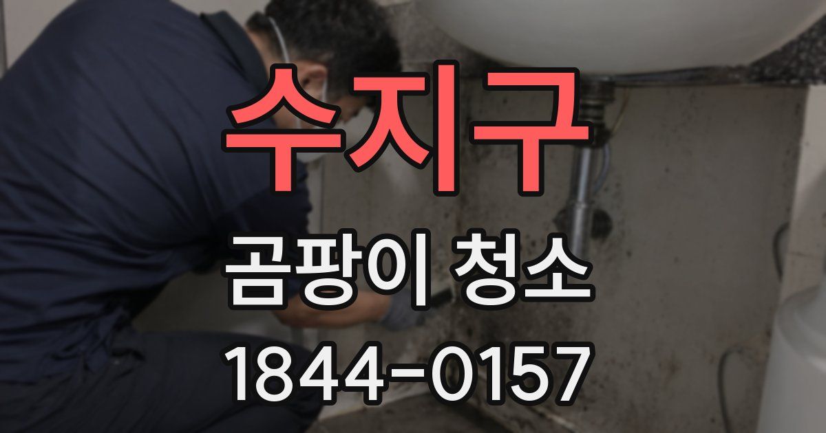 수지구 곰팡이 청소