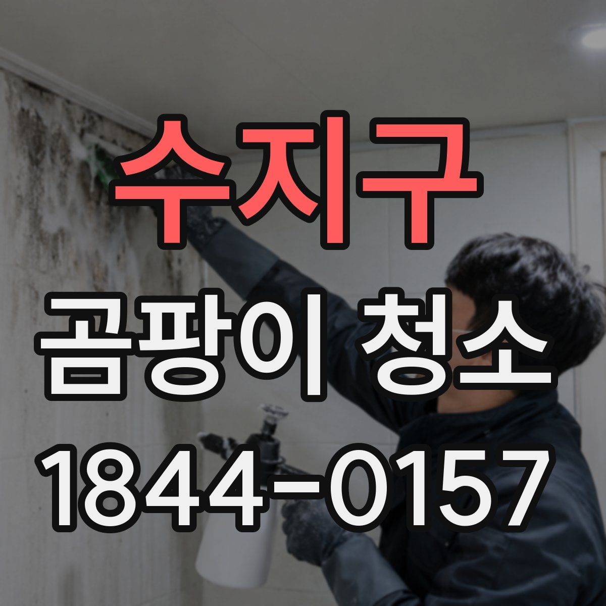 수지구 곰팡이 청소