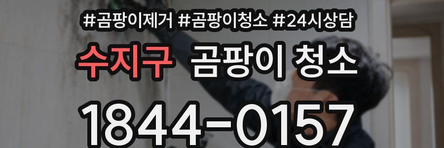 수지구 곰팡이 청소