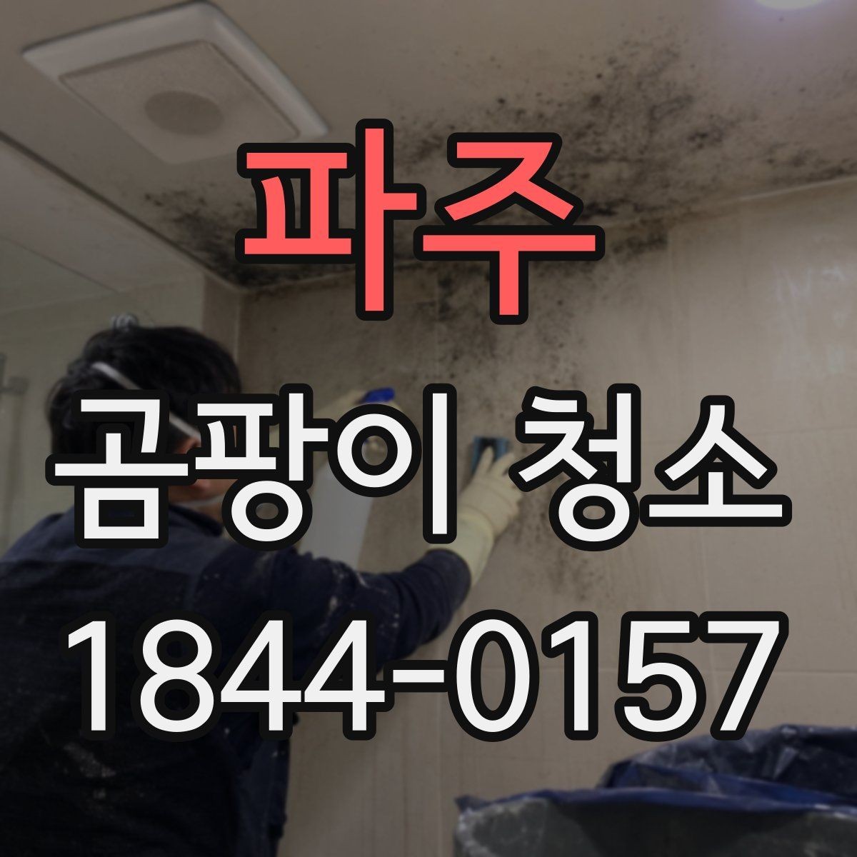 파주 곰팡이 청소 재발을 줄이려면 원인부터 봐야 하는 이유