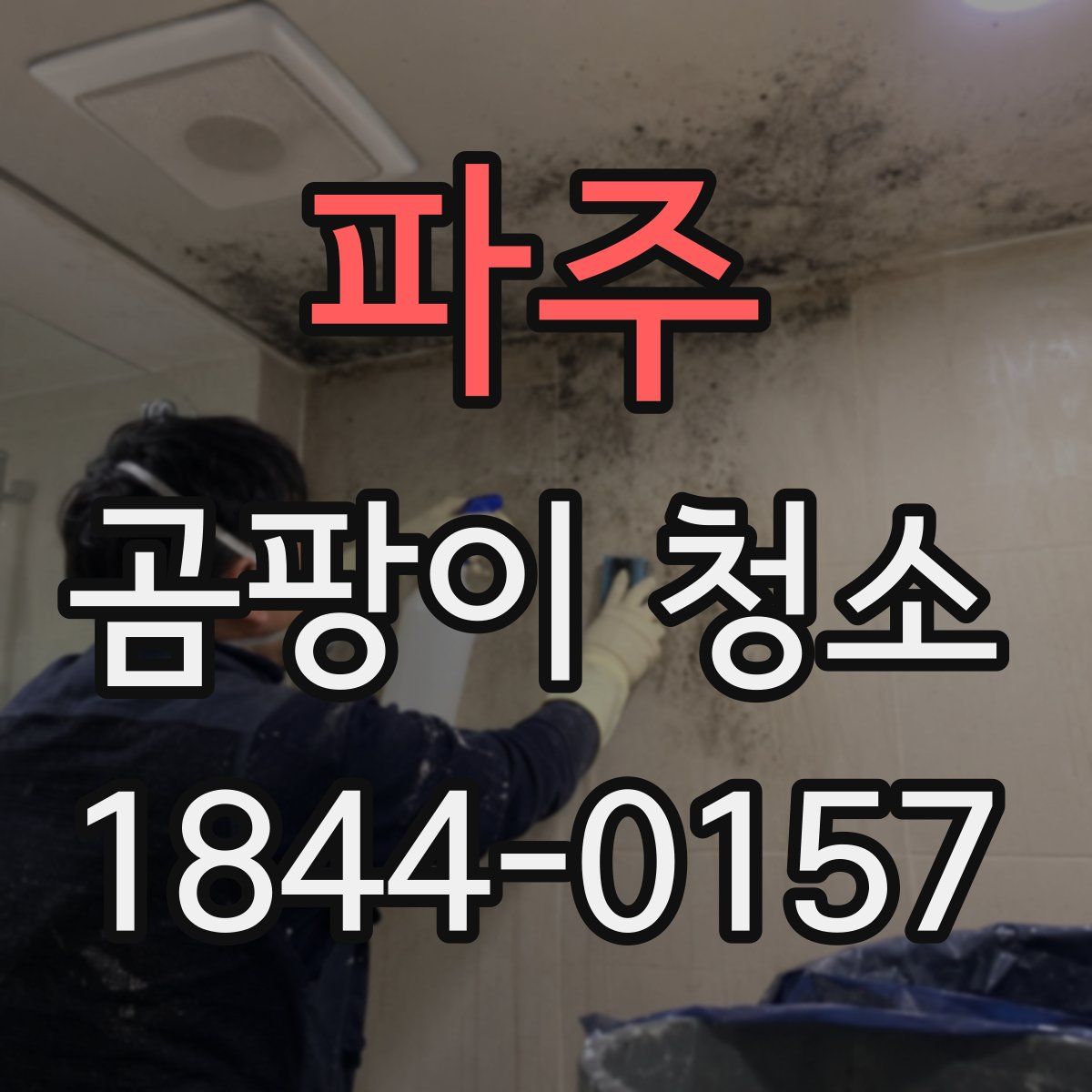 파주 곰팡이 청소