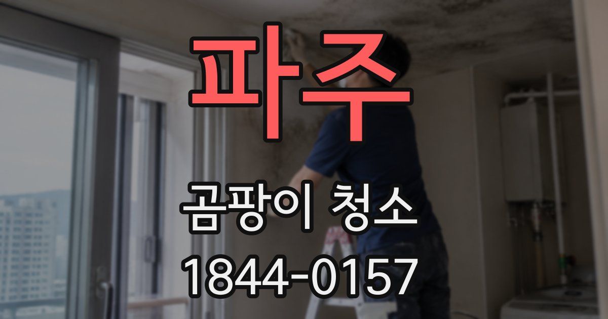 파주 곰팡이 청소