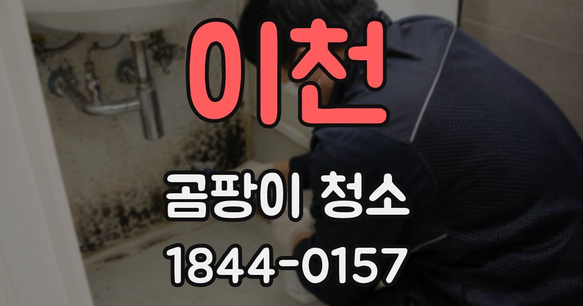 이천 곰팡이 청소