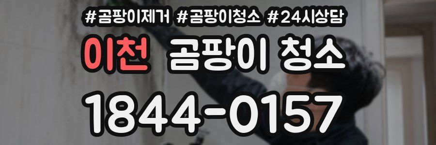이천 곰팡이 청소