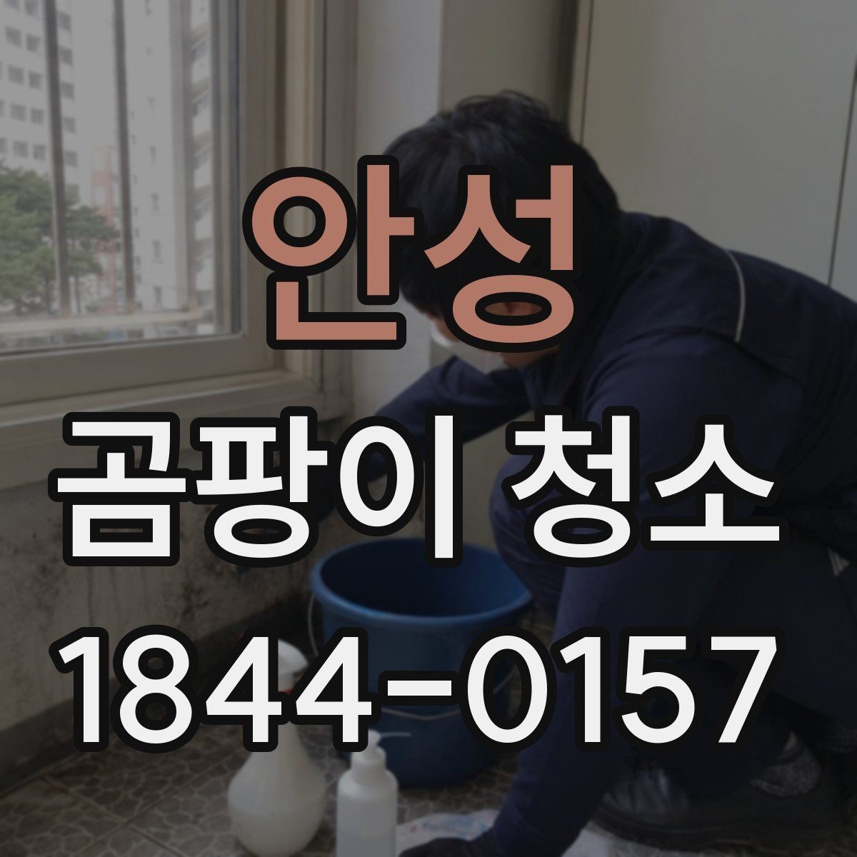 안성 곰팡이 청소 실내 습도와 건조 상태를 함께 관리하는 방법