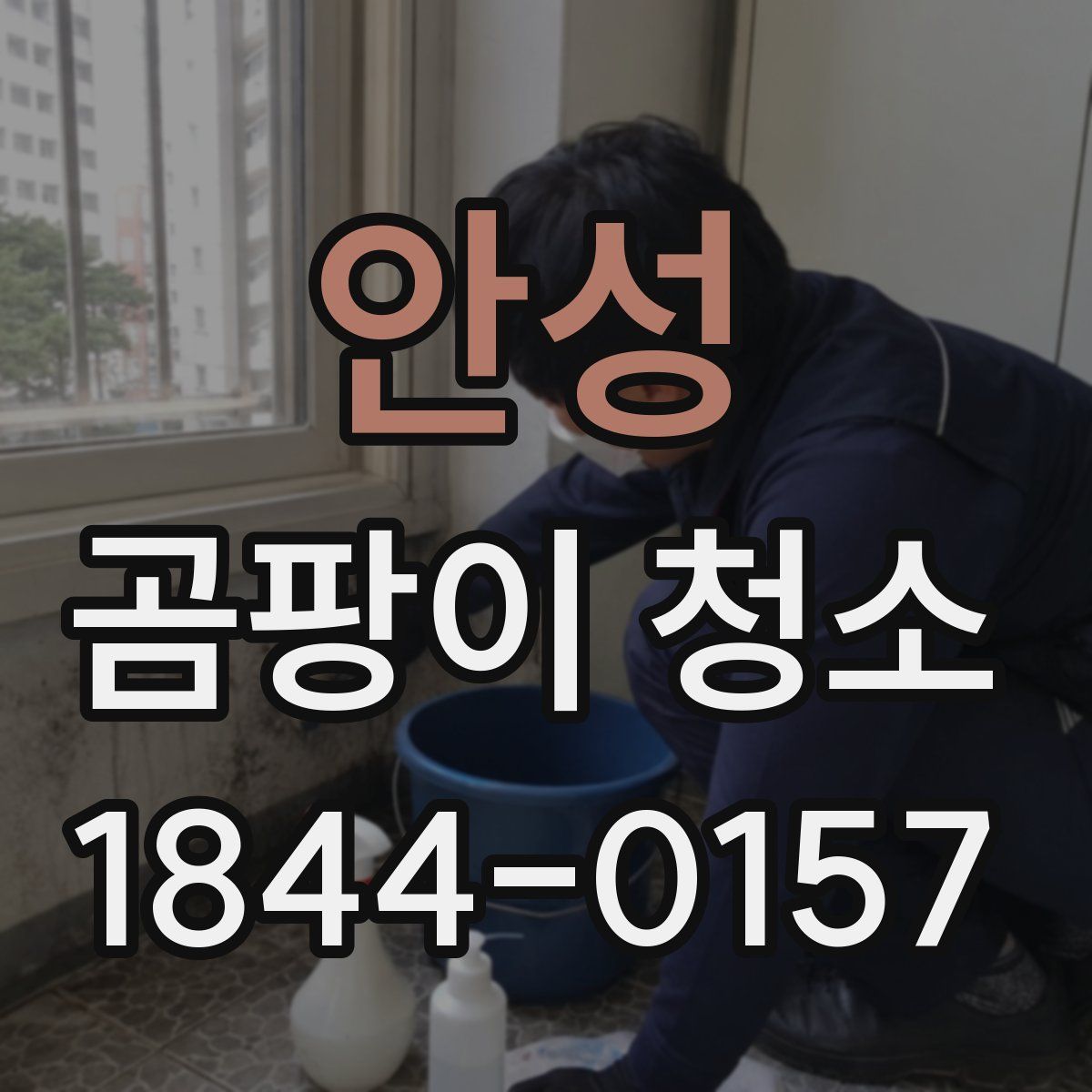 안성 곰팡이 청소