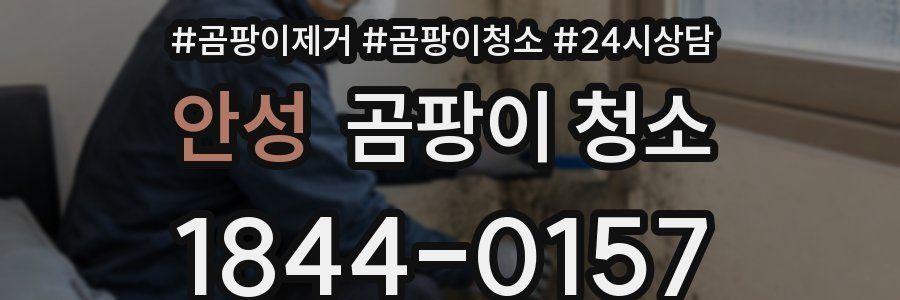 안성 곰팡이 청소