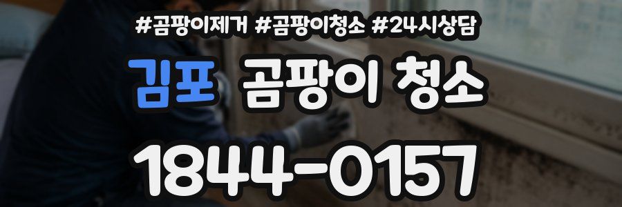 김포 곰팡이 청소