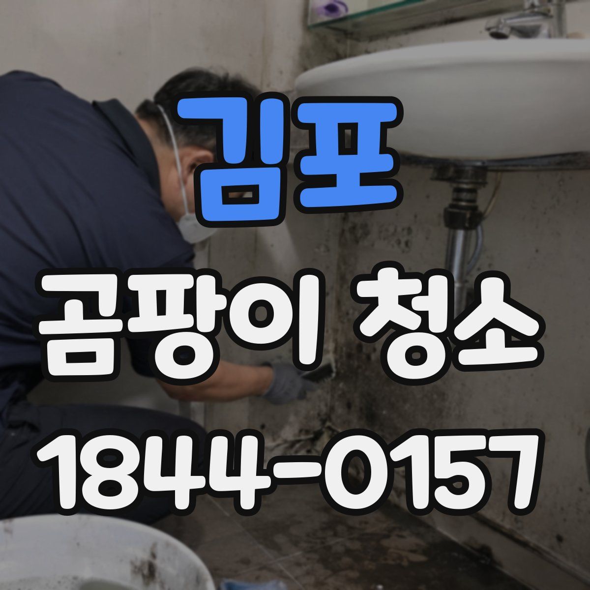 김포 곰팡이 청소