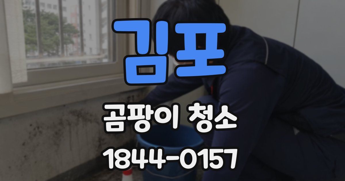 김포 곰팡이 청소