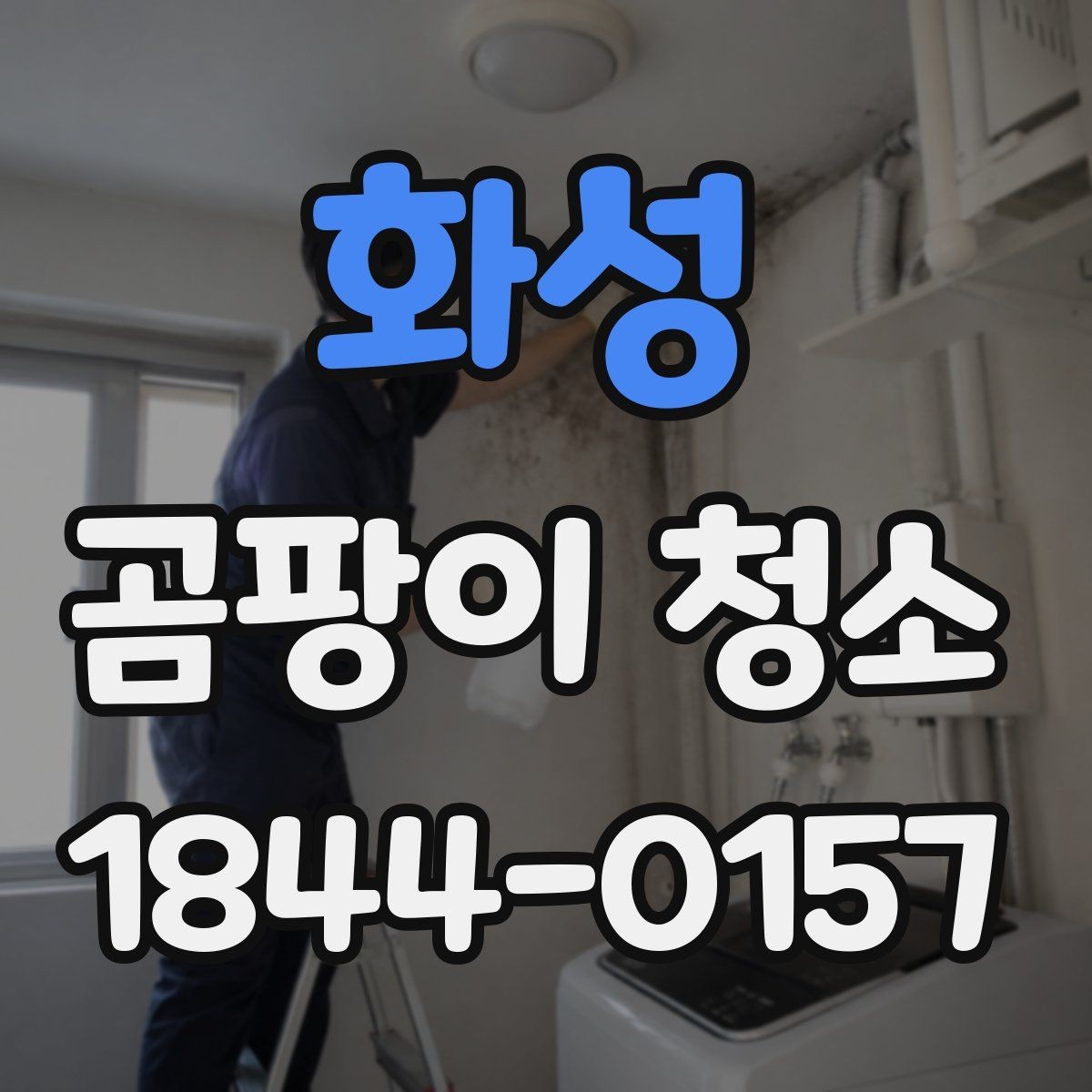 화성 곰팡이 청소 자국이 남기 쉬운 표면별 특징 비교