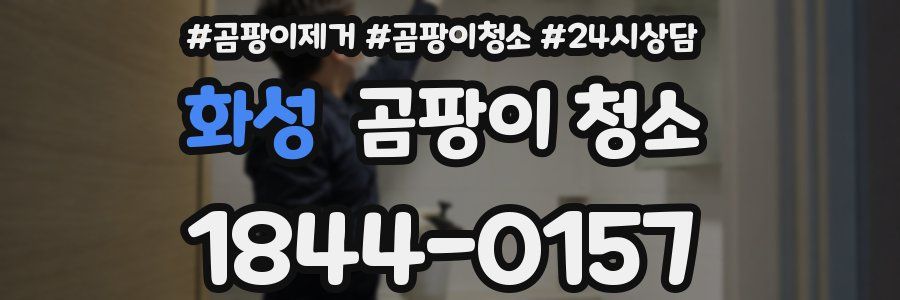 화성 곰팡이 청소