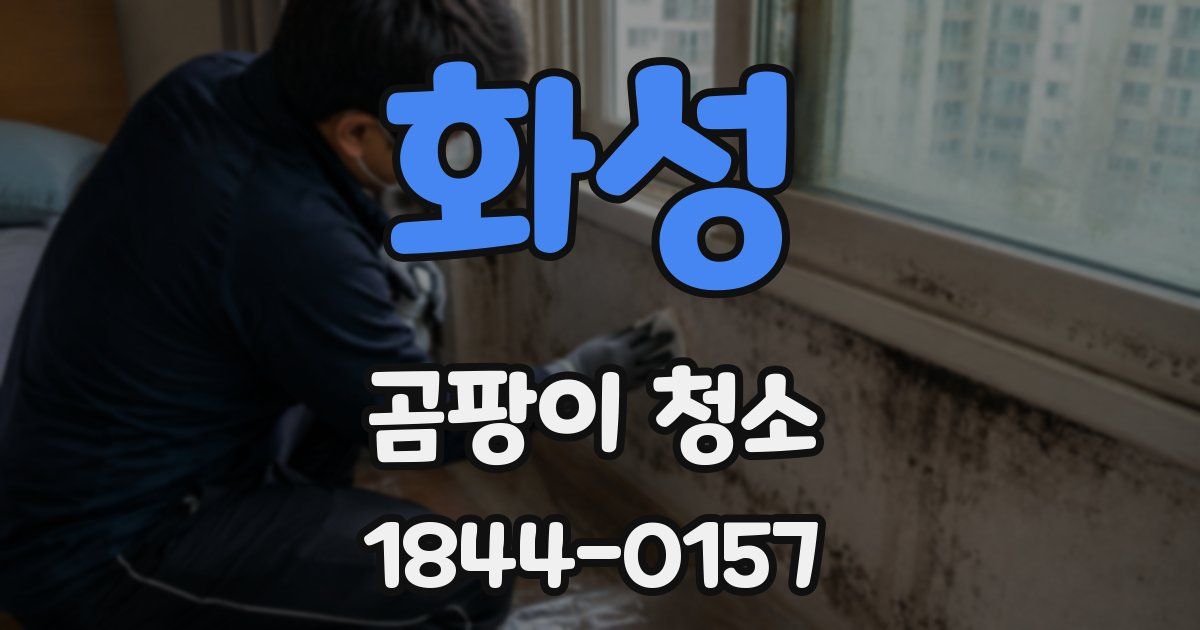 화성 곰팡이 청소
