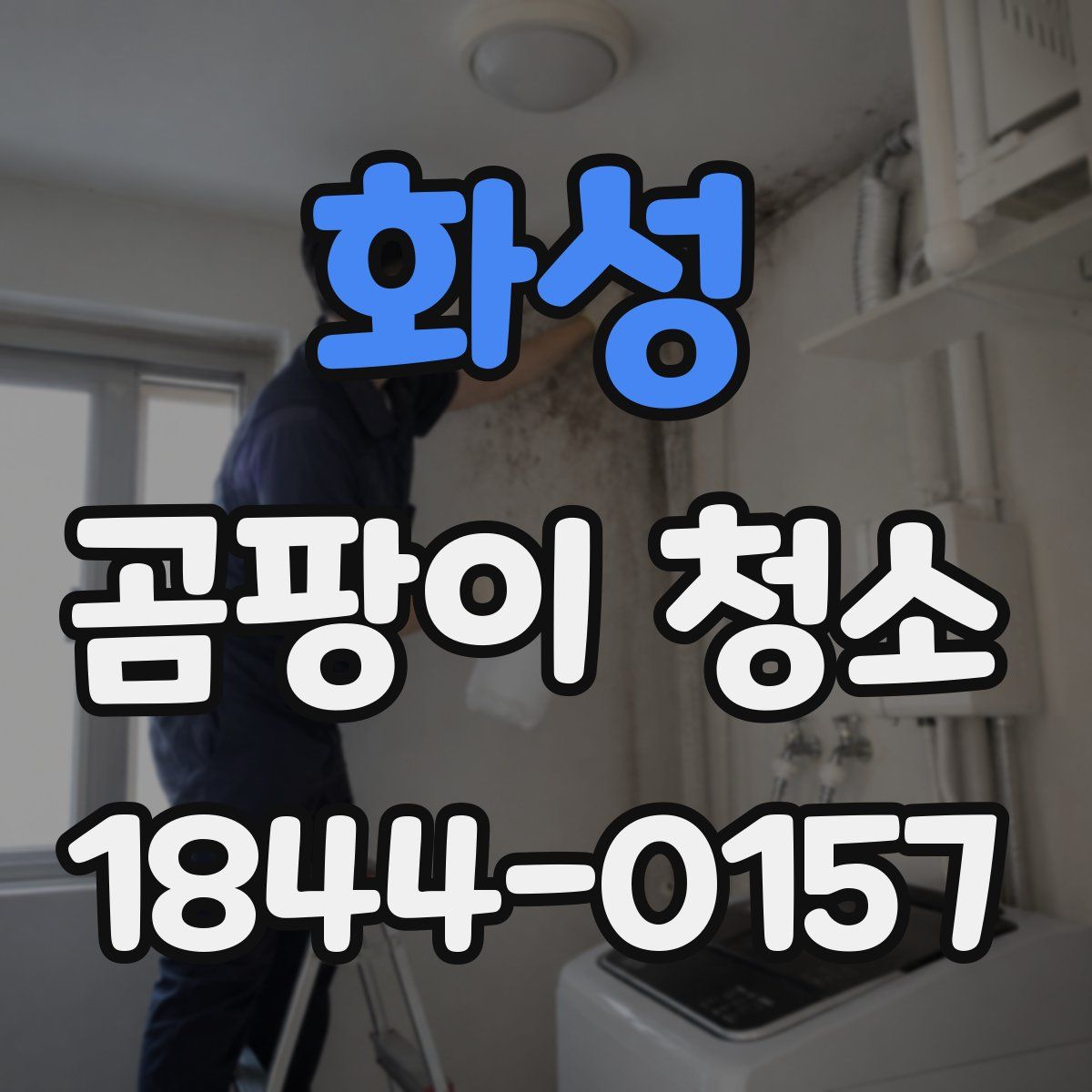 화성 곰팡이 청소