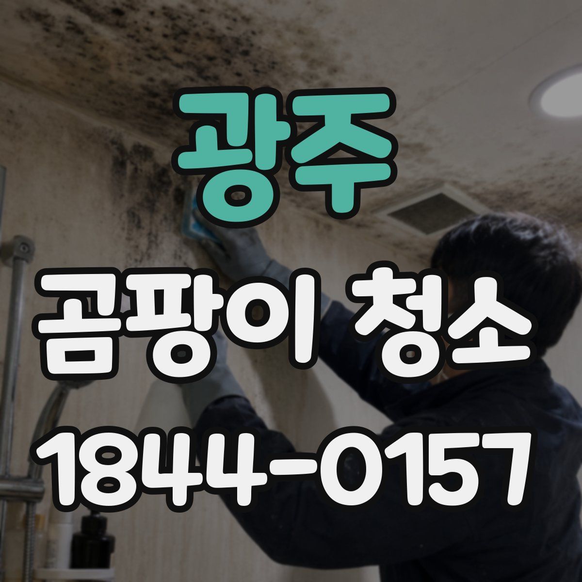 광주 곰팡이 청소