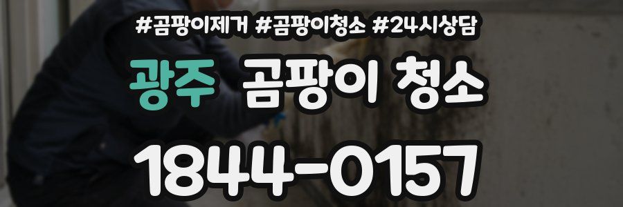광주 곰팡이 청소