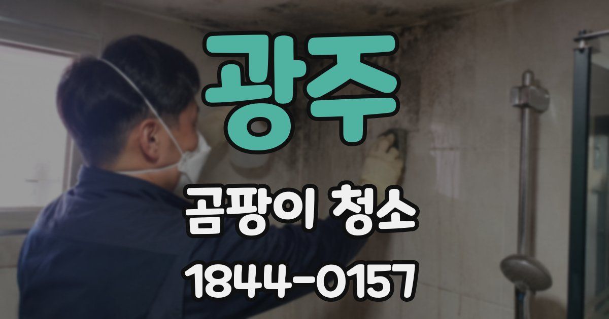 광주 곰팡이 청소