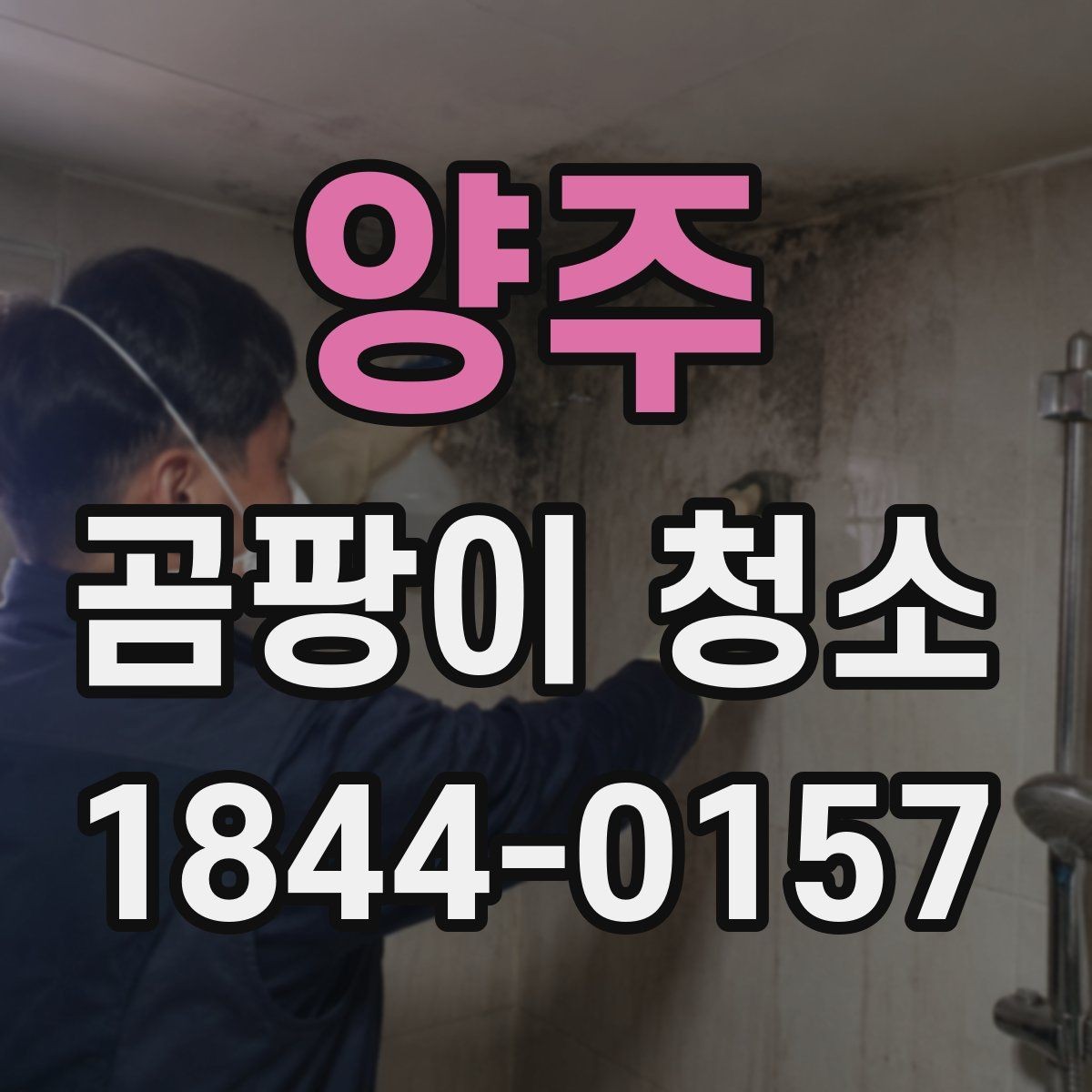 양주 곰팡이 청소 목재 마감재에 남는 흔적을 줄이는 포인트