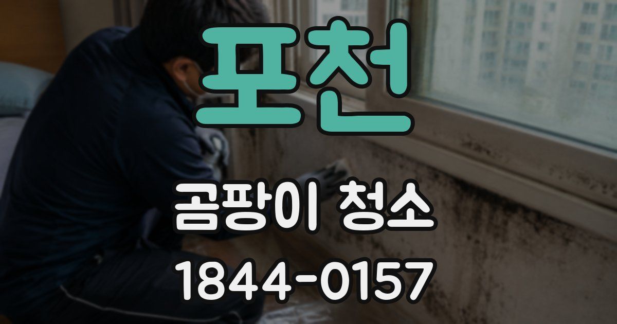 포천 곰팡이 청소