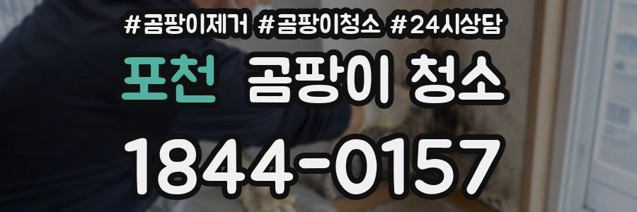 포천 곰팡이 청소