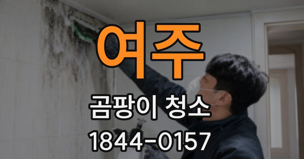 여주 곰팡이 청소