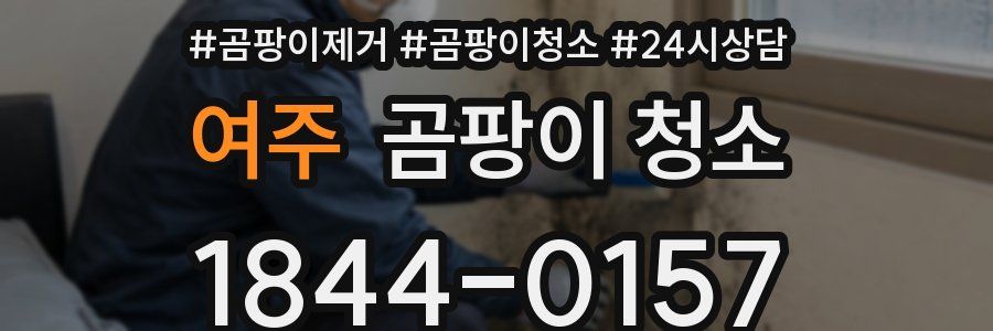 여주 곰팡이 청소