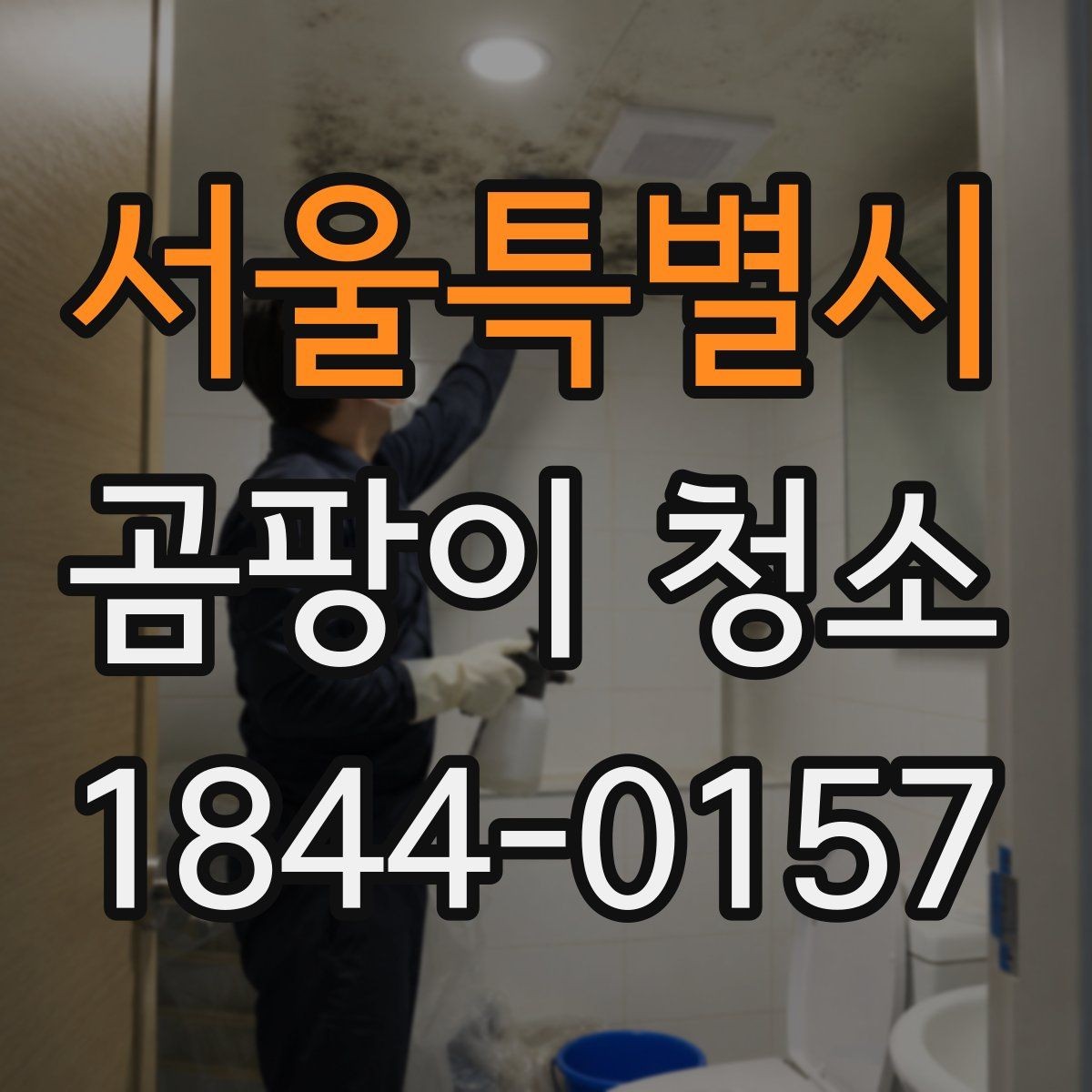 서울특별시 곰팡이 청소 전 천장 누수 흔적과 함께 볼 점검 항목