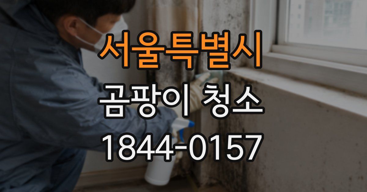 서울특별시 곰팡이 청소