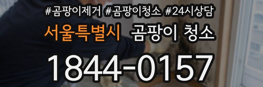 서울특별시 곰팡이 청소