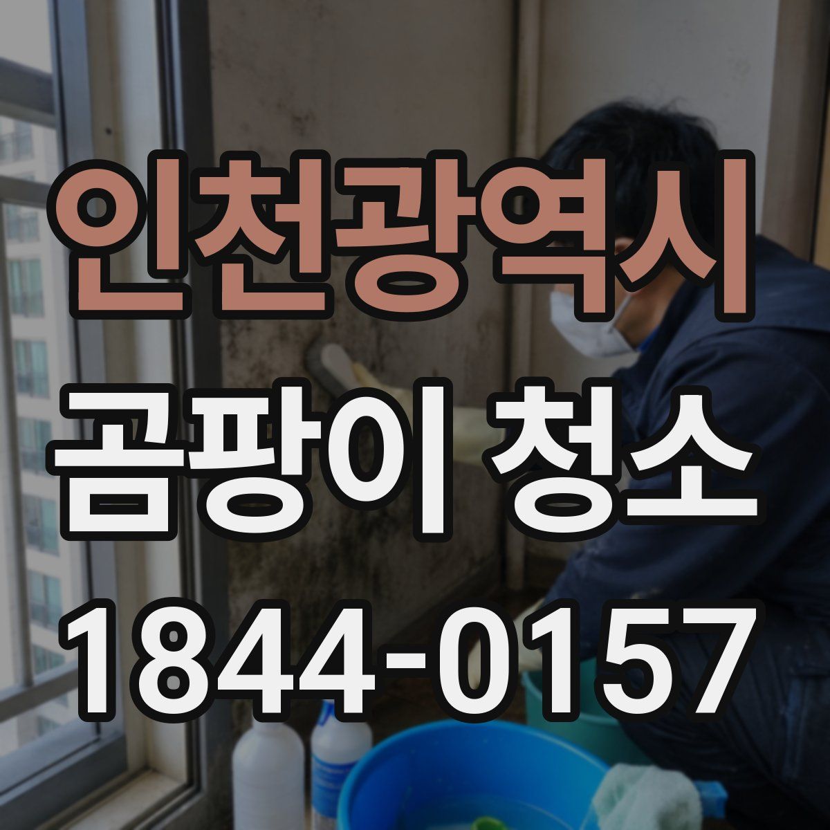 인천광역시 곰팡이 청소