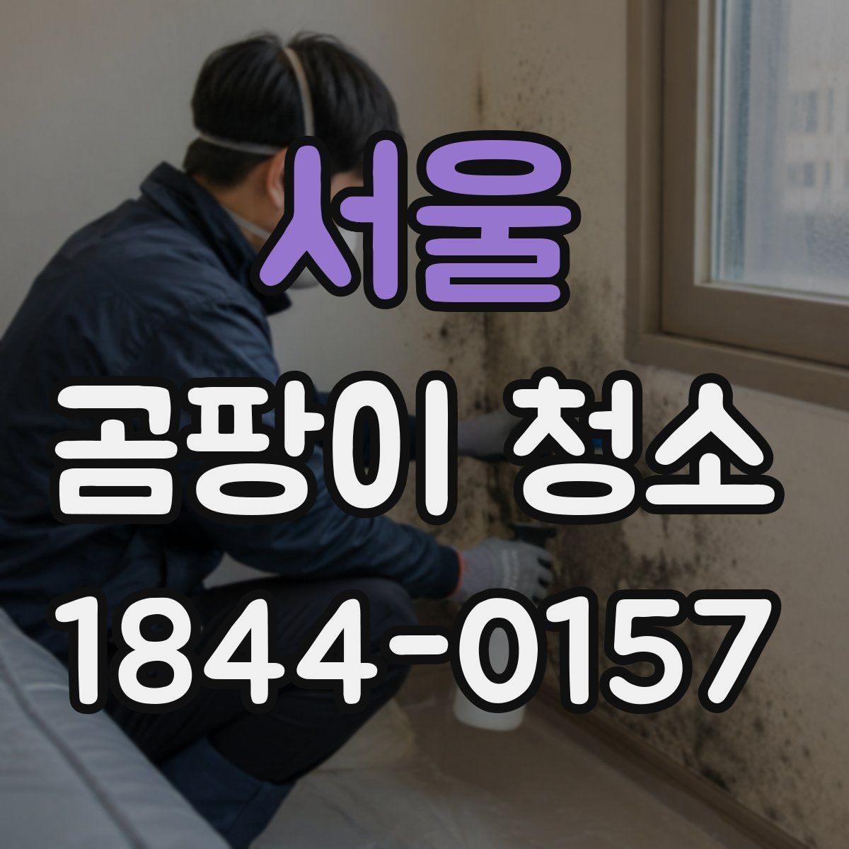 서울 곰팡이 청소 환기 상태가 부족한 방의 점검 포인트