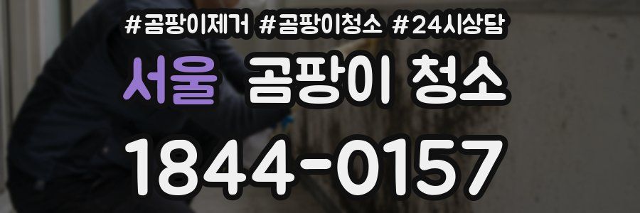 서울 곰팡이 청소