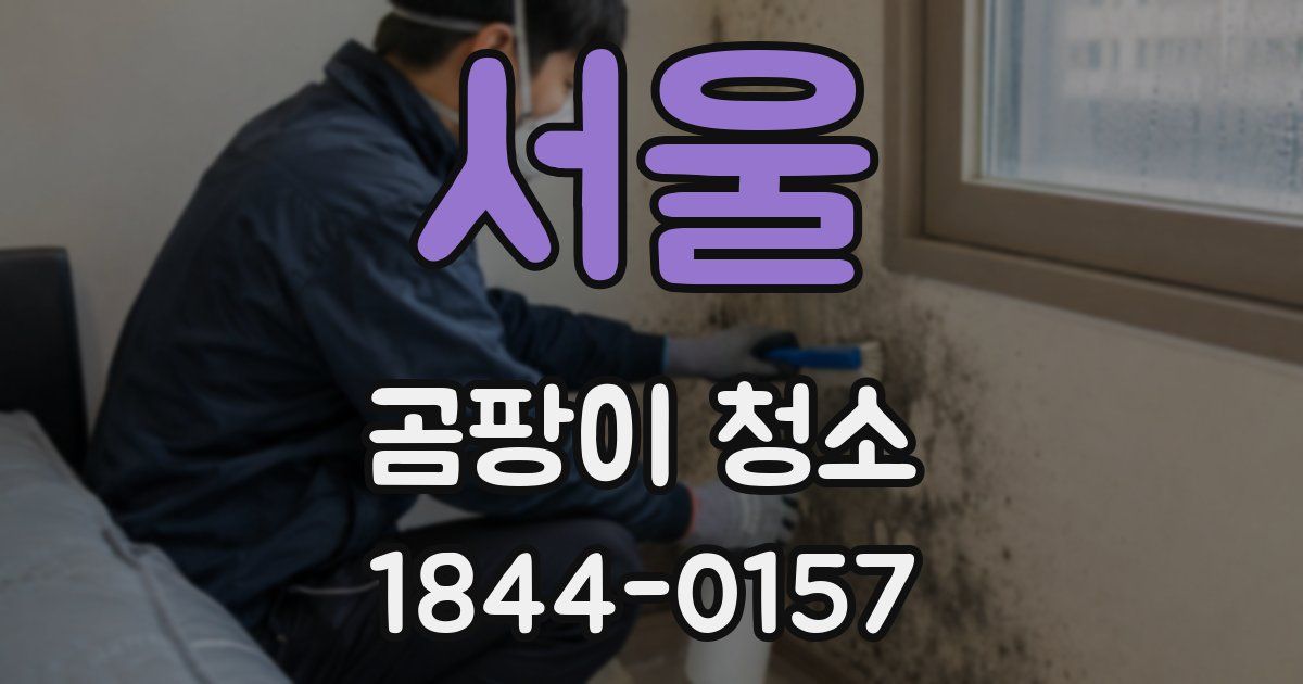 서울 곰팡이 청소