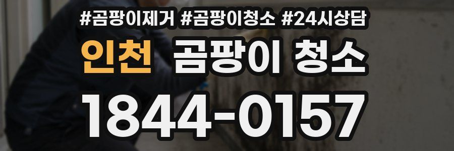 인천 곰팡이 청소