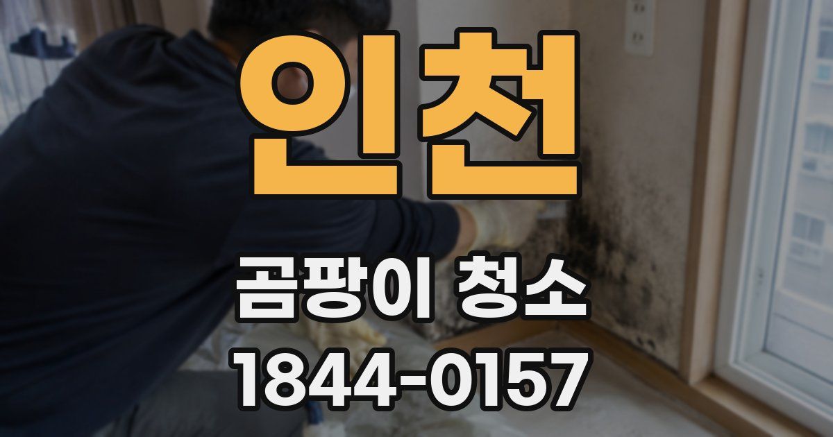 인천 곰팡이 청소